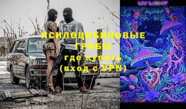 скорость Медвежьегорск