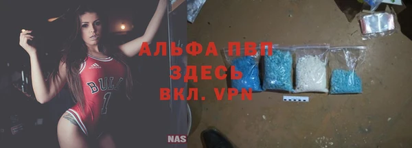 сатива Михайловка