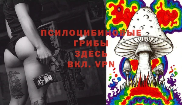 скорость Медвежьегорск