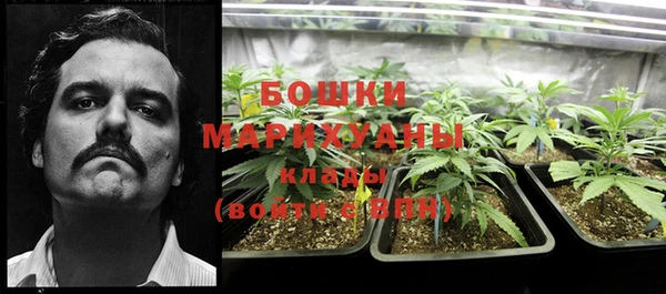 сатива Михайловка