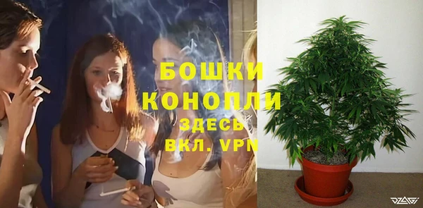 гашишное масло Михайлов