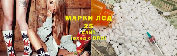 сатива Михайловка