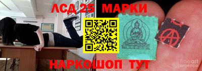 крисы Аргун