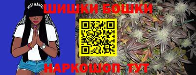 крисы Аргун