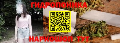 крисы Аргун