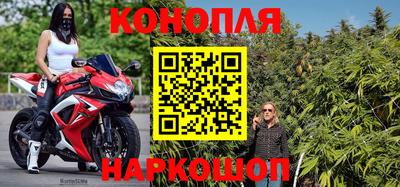шишки Краснодар