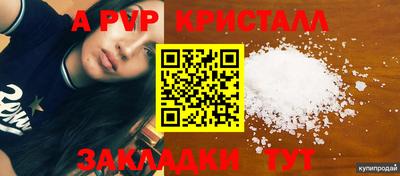 крисы Аргун