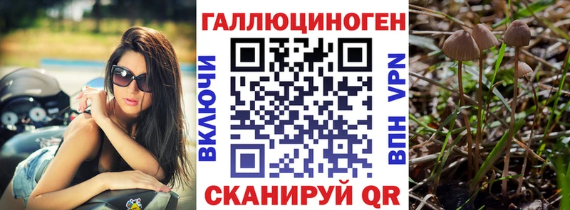 Псилоцибиновые грибы Cubensis  дарнет шоп  Комсомольск-на-Амуре 