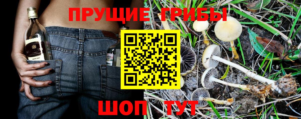 Галлюциногенные грибы мицелий Комсомольск-на-Амуре